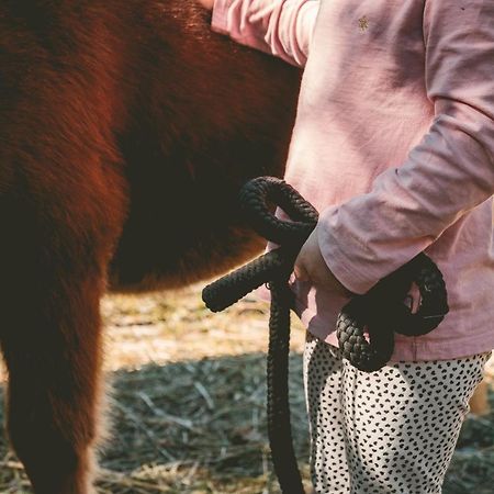 Familienhotel Replerhof Mit Kinderbetreuung Prägraten Kültér fotó