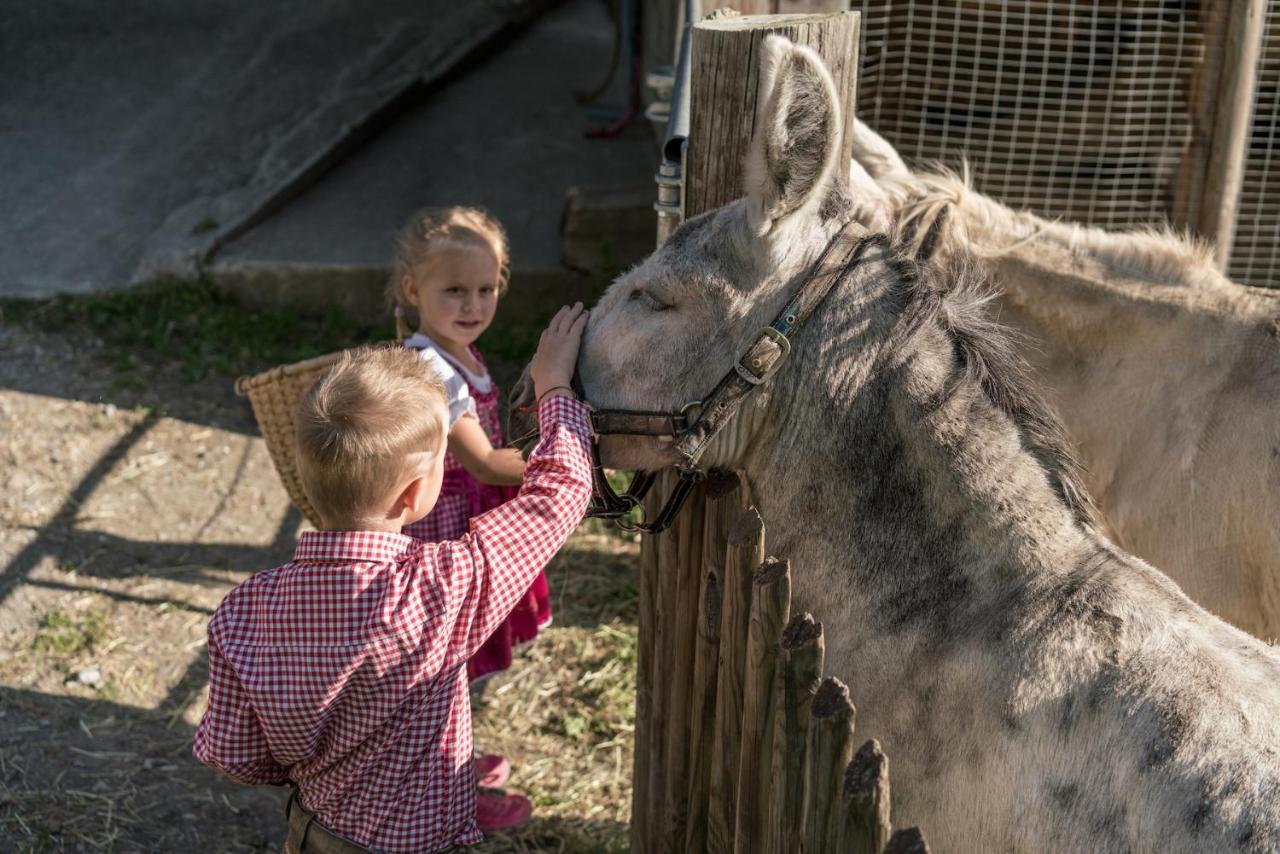 Familienhotel Replerhof Mit Kinderbetreuung Prägraten Kültér fotó
